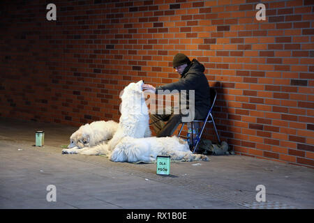 Hirte mit seinen drei polnische Tatra Sheepdogs Stockfoto