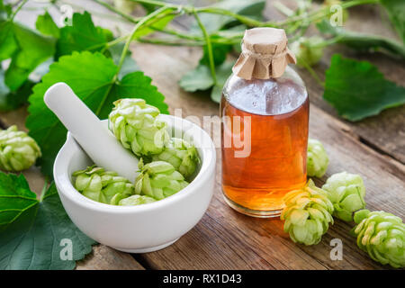 Gesunde Hopfenzapfen in Mörtel und Flasche medizinische Tinktur oder Infusion. Stockfoto