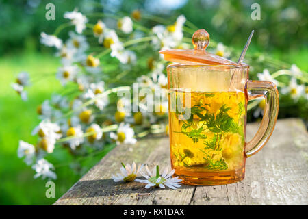 Gesunde Kräuter Tee Tasse und Daisy Heilpflanzen Trauben auf Holzbrett im Freien. Stockfoto