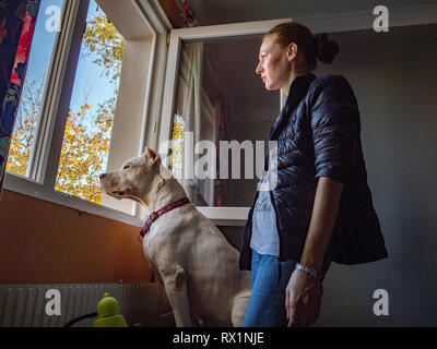 Seitenansicht der Frau mit Dogge suchen durch das Fenster beim Stehen in Schlafzimmer zu Hause Stockfoto