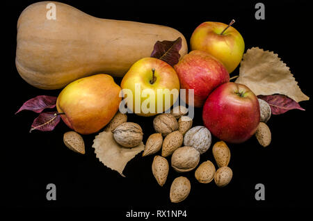 Kleine Kürbis in der Nähe von Yellow mit roten Flecken, Äpfel, Mandeln, Walnüsse, trockene Blätter auf schwarzem Hintergrund Stockfoto