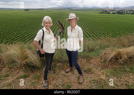 Bild von Tim Manschette - 14. Dezember 2018 - Diana Dobson, der Voliere Manager in der Marlborough Falcon Vertrauen, Blenheim, Neuseeland. Anzeigefunktionen Stockfoto