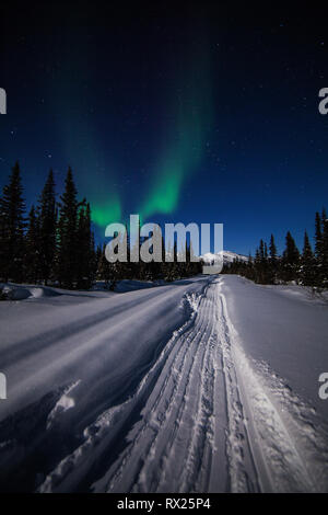 Die Nordlichter (Aurora borealis) tanzen am nördlichen Himmel entlang des Canol Heritage Trail, Ross River, Yukon Territory, Kanada Stockfoto