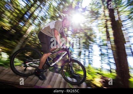 Ein Mountainbiker begeht einen Brückenabschnitt auf 'Kitty Litter', einem lustigen Mountainbike-Trail im Cumberland-Wald. Cumberland, Comox Valley, Vancouver Island, British Columbia, Kanada. KEINE MODELLFREIGABE Stockfoto