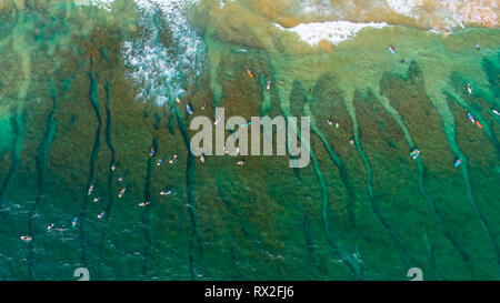 Antenne. Surfer. Hikkaduwa, Sri Lanka. Stockfoto