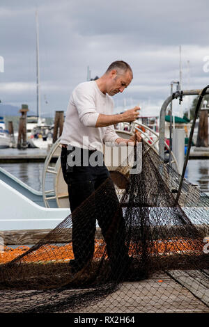 WA 02419-00 ... WASHINGTON - Mitglieder von Griffin Bay Seafoods arbeiten die Netze in Friday Harbor auf der San Juan Insel. Stockfoto