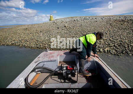 Maler Dwayne Robinson bei Nelson Leuchtturm Stockfoto