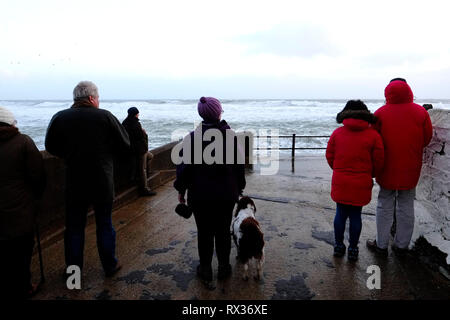 Eine Gruppe von Personen und einem Hund beobachten das Wetter und die Wellen an der Freshwater Bay auf der Isle of Wight, Großbritannien. Stockfoto