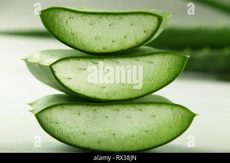 Closeup Bild - frisches Wild Aloe vera Schichten Stockfoto