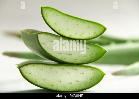 Closeup Bild - frisches Wild Aloe vera Schichten Stockfoto