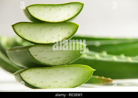 Frisches Grün Aloe Vera Blatt Schichten. Ayurveda Kräuter Hintergrund Stockfoto