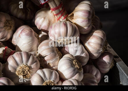 Knoblauch für den Verkauf in den Marker an Sanary sur Mer, Frankreich Stockfoto