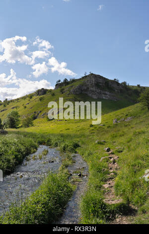 River fließt durch Lathkill Lathkill Dale in der Derbyshire Peak District, England Großbritannien Stockfoto