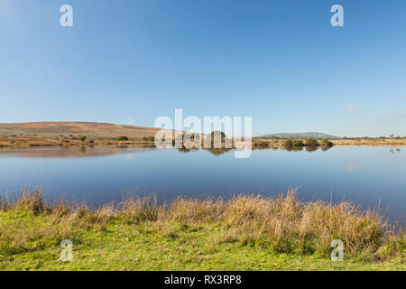 Breiten Pool, unterhalb Cefn Bryn, Halbinsel Gower, Swansea, South Wales, Großbritannien Stockfoto