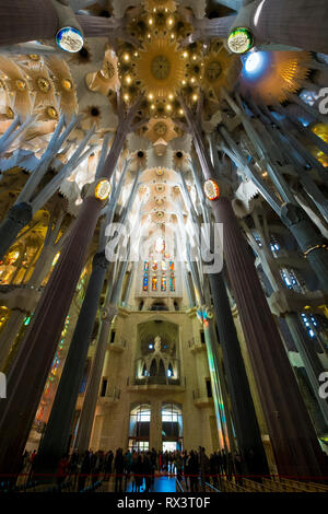 Die atemberaubenden Atrium von Antonio Gaudis Sagrada Familia in Barcelona, Spanien. Stockfoto