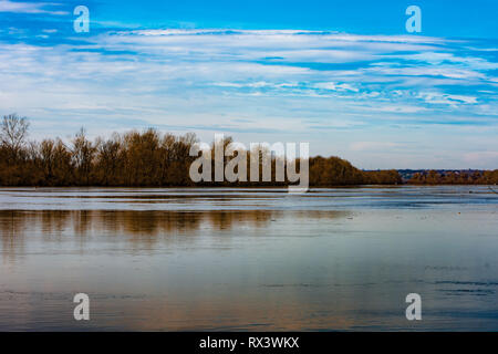 Im Herbst Landschaft, und die Reflexion der Küste im Wasser mit schönen Orangetönen. Serbien Obedska Bara Stockfoto