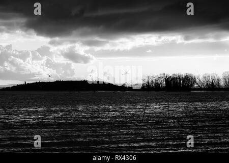 Vögel fliegen über den Trasimenischen See Stockfoto