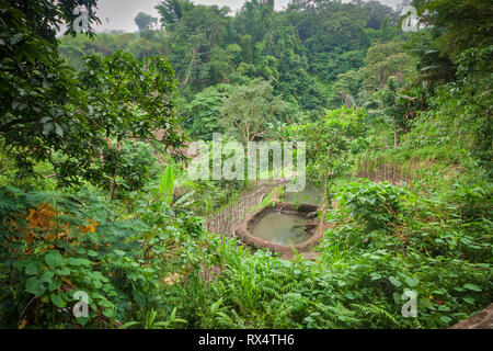 Ein kleines Dorf namens Air Panas Liasembe an einem nebligen Tag in den Bergen auf Flores Island in Indonesien Stockfoto