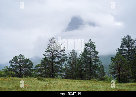 Gipfel des Mount Innerdalstarnet im Tal Das Tal Innerdalen. Touristische Attraktion von Norwegen. Skandinavischen Berge Stockfoto