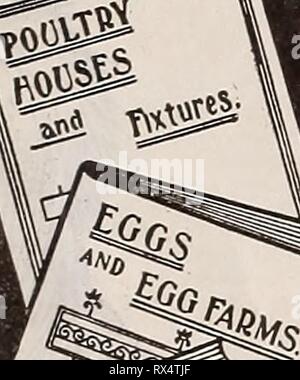 Die östliche poultryman (1905) der Östlichen poultryman easternpoultryma 66 unse Jahr: 1905 94 DER ÖSTLICHEN POULTRYMAN. Puff • Stockfoto