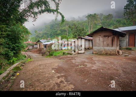 Ein kleines Dorf namens Air Panas Liasembe an einem nebligen Tag in den Bergen auf Flores Island in Indonesien Stockfoto