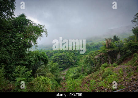 Ein kleines Dorf namens Air Panas Liasembe an einem nebligen Tag in den Bergen auf Flores Island in Indonesien Stockfoto