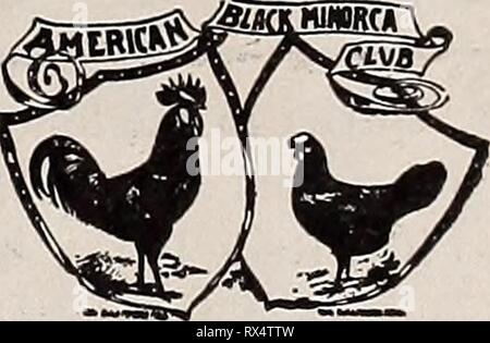 Die östliche poultryman (1902) der Östlichen poultryman easternpoultryma 42 unse Jahr: 1902 DIE ÖSTLICHEN POULTRYMAN. 31 Schnäppchen in Werbefläche EIN ABO MIT JEDER BESTELLUNG. 1,00 $ zahlt für eine 40-Wort Züchter" Karte, 4 Monate. $ 2,00 zahlt für ein Zoll, 3 Monate. &Gt; 5,00 $ zahlt für zwei Zoll, 4 Monate. Setzen Sie Ihre Anzeige. Die östlichen Geflügel der Mensch für die Wirtschaft. Wir pflegen eine fruchtbare Gebiet, und Inserenten, die ihre Samen säen, darin wird ernten. Bargeld muss Bestellungen begleiten als abovg. Schreiben Sie für Schätzungen, die auf größeren Raum oder längere Zeit. Die östliche POULTRYMAN, Freeport, Me zeigt. Stockfoto