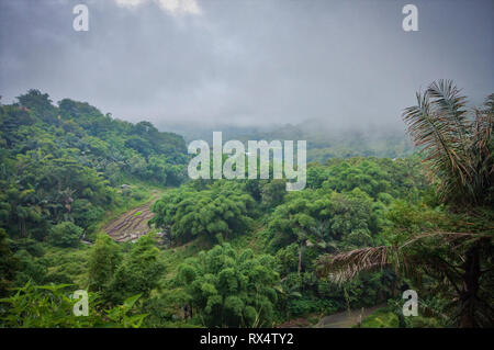 Ein kleines Dorf namens Air Panas Liasembe an einem nebligen Tag in den Bergen auf Flores Island in Indonesien Stockfoto