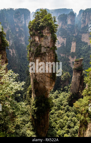 Natürlicher Quarz sandsteinsäule Halleluja Berg, 1.080 m ist in der zhangjiajie Landschaftspark Wulingyuan gelegen Nationalpark, Yuanjiajie Bereich, Hunan, China. Es Stockfoto