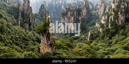 Das Panorama als Sammeln von Soldaten in Tianzi Berggebiet im Landschaftspark Wulingyuan gelegen Nationalpark Zhangjiajie, Hunan, China. Landschaftspark Wulingyuan gelegen Nationalpark wa Stockfoto