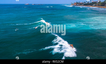 Antenne. Surfer. Hikkaduwa, Sri Lanka. Stockfoto