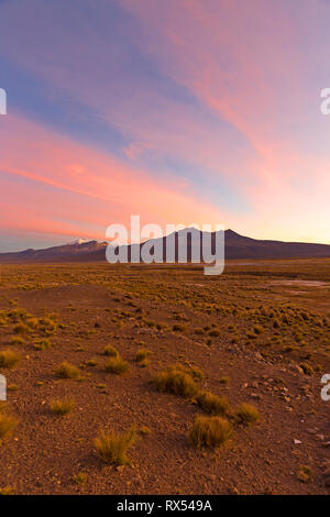 Sonnenuntergang in der Anden. Parinacota Vulkan. Hohe Andenlandschaft in den Anden. Anden tundra Landschaft in den Bergen der Anden. Stockfoto