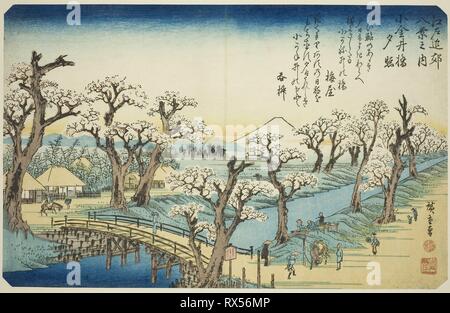 Abendrot an koganei Brücke (koganei-bashi sekisho), aus der Serie "Acht Ansichten in der Umgebung von Edo (Edo kinko hakkei no Uchi)". Utagawa Hiroshige?? ??; Japanisch, 1797-1858. Datum: 1832-1843. Abmessungen: 35 x 22 cm. Farbe holzschnitt; Oban. Herkunft: Japan. Museum: Das Chicago Art Institute. Stockfoto