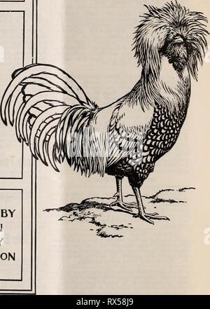 Die östliche poultryman (1904) der Östlichen poultryman easternpoultryma 59 unse Jahr: 1904 Standard oder Perfektion überarbeitet und f PVBLISHED DURCH AMERIKANISCHE POVLTRY ASSOCIATION COVER Design der neuen Norm dargestellt. Preis, einschließlich ein einjähriges Abonnement für den Östlichen Poultrvman, 1 $.50 oder als Prämie für einen Club der 10 Teilnehmer. Adresse alle Bestellungen zu den östlichen POULTRYMAN, Freeport, Maine. Stockfoto