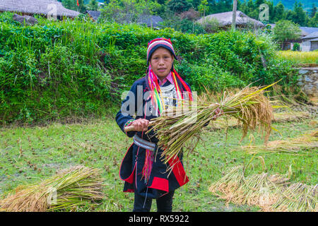 Frau aus dem Roten Dao Minderheit in einem Dorf in der Nähe von Ha Giang in Vietnam. Stockfoto