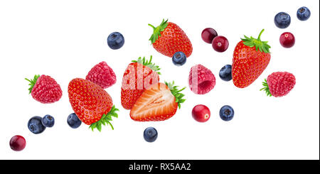 Flying Beeren isoliert auf weißem Hintergrund mit Freistellungspfad, verschiedene fallen Waldbeere Früchte Mix, Sammlung Stockfoto