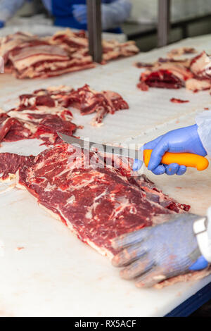 Fleisch verarbeitenden Arbeitnehmer Kürzungen der Kadaver eines Kuh. Stockfoto