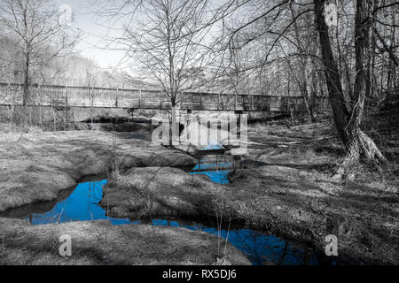 Eine blaue Farbe splash eines Streams oder Knarren der sich durch die Niederungen an Yates Mühle County Park in Raleigh North Carolina Stockfoto