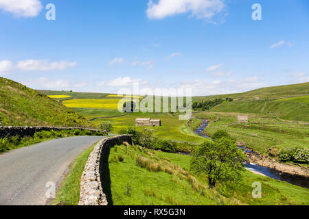 Ruhigen Landstraße zu Birkdale Gemeinsame durch Fluss Swale im oberen Swaledale, Yorkshire Dales National Park, North Yorkshire, England, Großbritannien, Großbritannien Stockfoto