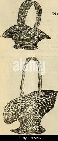 E H Jagd Katalog (1895) E.H. Jagd Katalog 1895 ehhuntscatalog ehhu Jahr: 1895 559 B. 3,11 '13" 90 C. Länglich. Nr. 183. Nest von 3, 80 C. OVAL NESTER, WEISS. Stockfoto