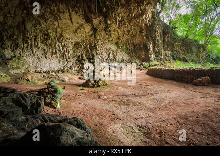 Die Überreste des Homo floresiensis, eine ausgestorbene Arten in der Gattung Homo, wurden im Jahr 2003 an Liang Bua auf der Insel Flores in Indonesien entdeckt. Stockfoto