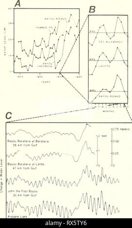 Die Ökologie der delta Sümpfe die Ökologie der delta Sümpfe des Coastal Louisiana: eine Gemeinschaft Profil ecologyofdeltama 00 goss Jahr: 1984 verbleibende, die vermutlich durch andere Kräfte und ändert sich von Jahr zu Jahr. Dominante unter diese anderen Kräfte und verantwortlich für die sekundären Maximum im Frühjahr und die folgenden sekundären Mindestaufenthalt im Hochsommer ist der saisonal wechselnden, dominant Wind Regime über den Golf von Mexiko (Chew 1962). Maximale Osten und Südosten Winde im Frühjahr und im Herbst zu einer onshore Transport von Wasser. Im Winter und Sommer westliche Winde (Südwesten in s Stockfoto