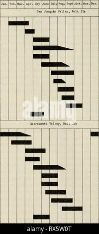 Wirtschaftliche Aspekte der Biene wirtschaftliche Aspekte der Biene Industrie economicaspectso 555 voor Jahr: 1933 30 Universität von Kalifornien - Experiment Station üblichen Honey-Flow Perioden in Kalifornien: Band II WERKEN I ''l   ''''''' 1. Rang Obst Blüte, Senf, wilde Blumen Orange Salbei Lippia Wild Luzerne Luzerne Baumwolle Bush Lima Bean Jackass Klee Spikeweed Blue curls Pin Oak (Giftig für Bienen) Manzanita Obst Blüte Eukalyptus/Berry, giftsumach Lippia Toyon Taste - Willow Luzerne Star thistle Blue curls Pin Oak&lt; Giftig für Bienen) Abb. 5.- Im San Joaquin Valle Stockfoto