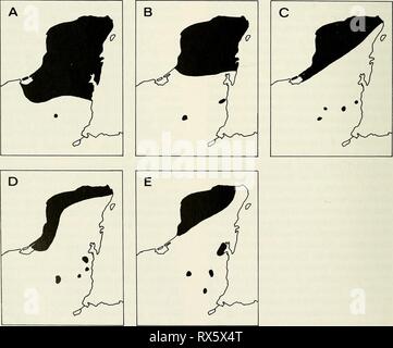 Eine ecogeographic Analyse der eine ecogeographic Analyse Der herpetofauna der Yucatan Halbinsel leej ecogeographicana 00 Jahre: 1980 32 VERSCHIEDENES PUBLIKATION MUSEUM FÜR NATURKUNDE Sula ist sicherlich keine Überraschung, denn es ist das Fehlen von einigen dieser Arten (z. B. Coniophanes picevittis) Hinweis - angemessen. Der Ursprung dieser Teil der Halbinsel herpetofauna handelt es sich somit die Frage nach den Ursprüngen der nahen Amerikanischen herpetofauna, ein sub-jekt ausführlich behandelt von Savage (1966). Vor allem auf der Basis von modem Vertriebsmöglichkeiten Muster. Savage (1966) verwen-teriz Stockfoto