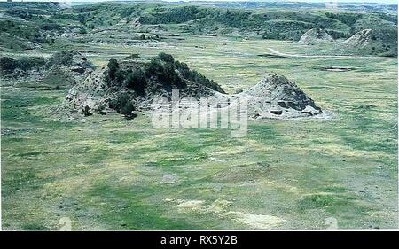 80 Jahre der Vegetation und achtzig Jahre der Vegetation und Landschaft Veränderungen in den nördlichen Great Plains: Eine fotografische eightyyearsofveg 45 klem Jahr: 2001 Fryburg, North Dakota Lage Billings Co., ND, sek. 18, R 100 W., T. 139 N.; GPS-UTM 5191143 N, 625999 E. ca. 2 km west-südwestlich von fryburg. Aus Medora, South Dakota, reisen 13 Meilen östlich auf US-amerikanischen Interstate 94. Nehmen Sie die Ausfahrt 36, und biegen Sie rechts (Richtung Süden). Weiter durch Fryburg zu "T" in der Straße, ca. 0,4 km südlich der Stadt. Biegen Sie rechts (West) in Richtung Sully Creek Road ab und fahren 2 km. Photopoint ist etwa 30 Meter südlich Stockfoto