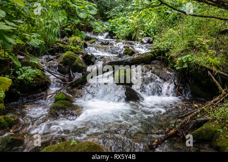 Schnelle Gebirgsbach mit Steinen, umgeben von Grün. Kaskade von kleinen Wasserfällen in einem Bergbach. Umweltschutz. Reisen backgroun Stockfoto