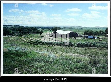 80 Jahre der Vegetation und achtzig Jahre der Vegetation und Landschaft Veränderungen in den nördlichen Great Plains: Eine fotografische eightyyearsofveg 45 klem Jahr: 2001 Spearfish, South Dakota Lage Lawrence, CO, SD; Sec. 10, R.2 E., T.7 N.; GPS-UTM 4936725 N, 590582 E. etwa 6,4 km nördlich von Spearfish. Von Spearfish, Reisen nach Norden 6,4 Meilen auf US-Highway 85. Biegen Sie nach rechts (Osten) auf einem eigenen Weg. Die photopoint ist aus dem kleinen Hügel, auf der linken Seite (Norden), sofort nach dem Betreten des privaten Eigentums. Beschreibung September 21, 1999 Photopoint Gräser. Agropyron intermedium, Agropyron Stockfoto