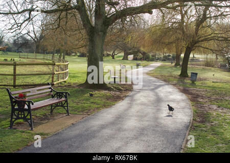 Billericay, Essex, Großbritannien. 8. März, 2019. UK Wetter: Sonniger Start in den Tag in Billericay - ein Blick auf den Wiesen Credit: Ben Rektor/Alamy leben Nachrichten Stockfoto