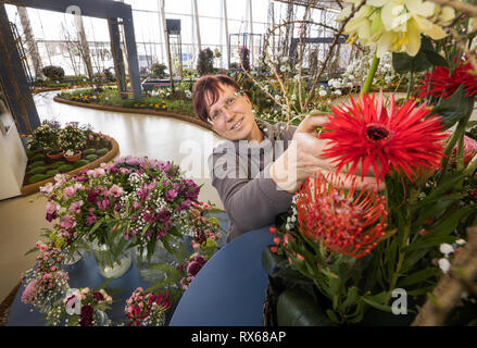 Erfurt, Deutschland. 08 Mär, 2019. Florist master Cornelia Squara ist die Vorbereitung für die Saison die erste Indoor Show des Jahres Eröffnung unter dem Titel "Bauhaus trifft Garten'. In diesem Jahr wird am 9. März 2019 unter dem Motto "Zeitlos spannend. Entdecken Sie die 360000 in das Bauhaus 2019". Quelle: Michael Reichel/dpa/Alamy leben Nachrichten Stockfoto