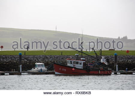 Dingle, Irland. 08 Mär, 2019. Ein Wanderer genießt die frische Brise und Sonnenschein in Dingle, County Kerry an diesem Nachmittag. Credit: Clearpix/Alamy leben Nachrichten Stockfoto